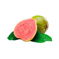 GOIABA