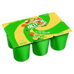 POLPA NESTON 2 SABORES 510G