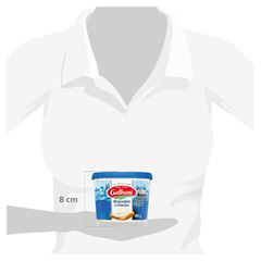 REQUEIJAO CREMOSO GALBANI 380G