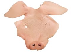 MASCARA SUINA SALGADA MISTER PIG KG