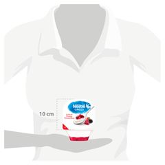 NESTLE GREGO CALDA FRUTAS VERMELHAS 90G