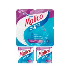 IOGURTE MOLICO POLPA AMEIXA 360G
