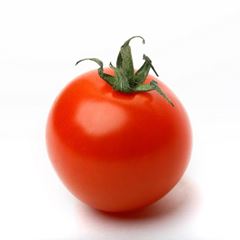 TOMATE PIZZA. A
